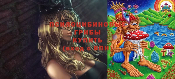 твердый Балахна