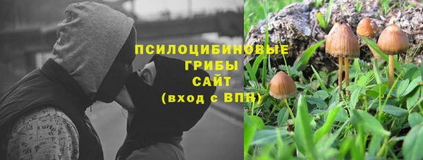 прущие крисы Баксан