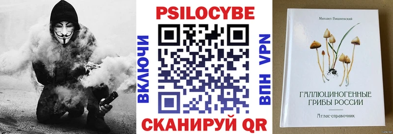 mega маркетплейс  Чаплыгин  Галлюциногенные грибы Psilocybine cubensis  где можно купить  